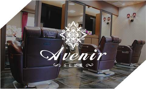 Avenir -seek-